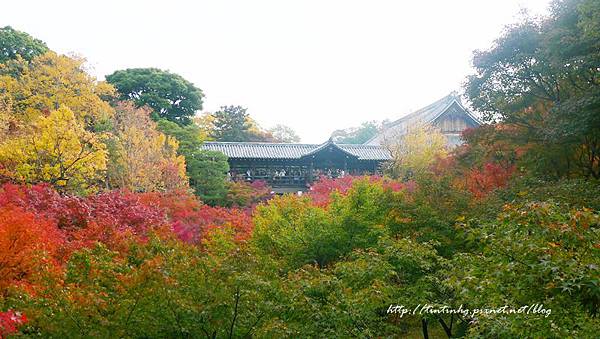 東福寺