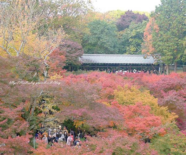 東福寺