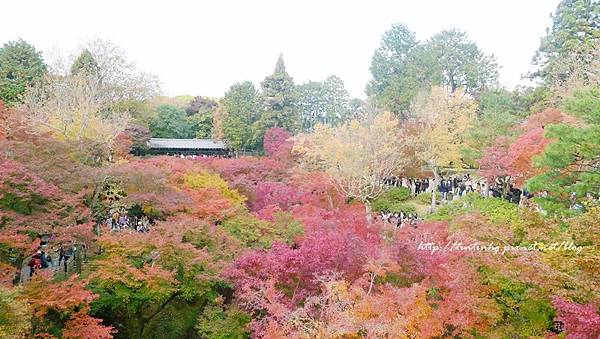 東福寺