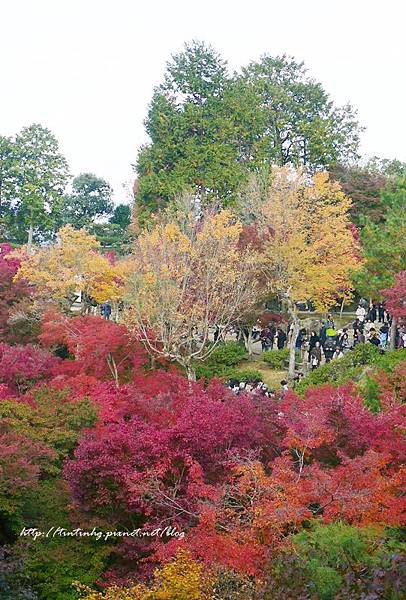 東福寺