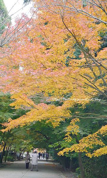 東福寺