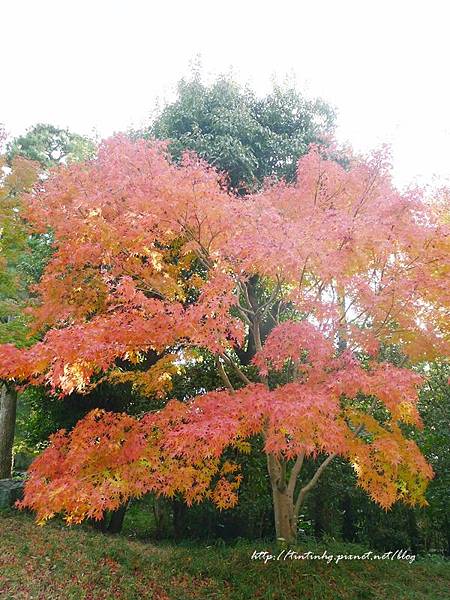 平等院