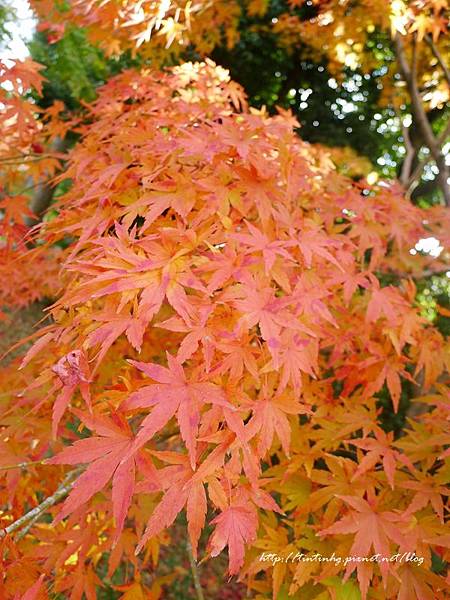 平等院