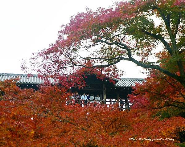 東福寺