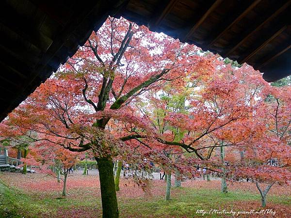 東福寺