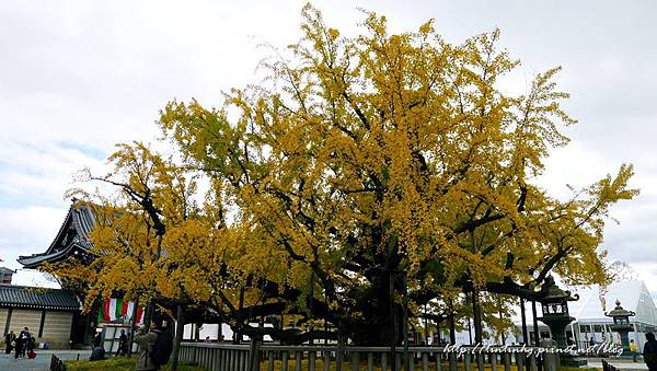 西本願寺