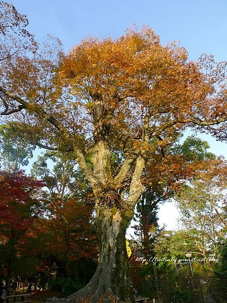 北野天滿宮