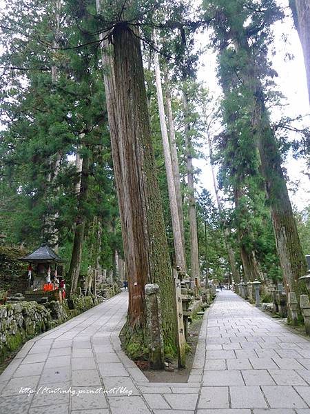 高野山