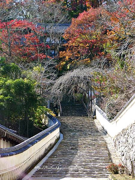 長谷寺