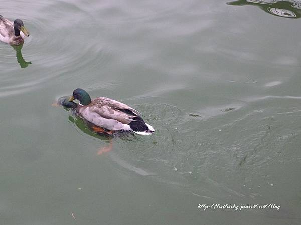 大湖公園