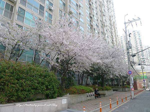 溫泉川市民公園