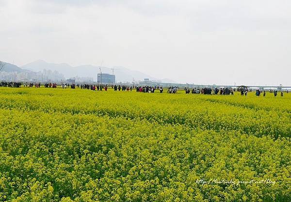 大渚生態公園