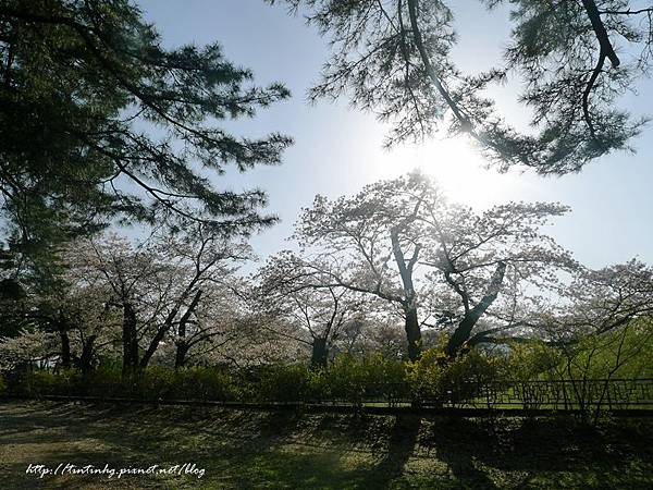 大陵院