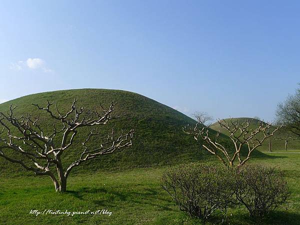 大陵院