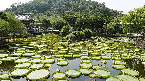 雙溪公園