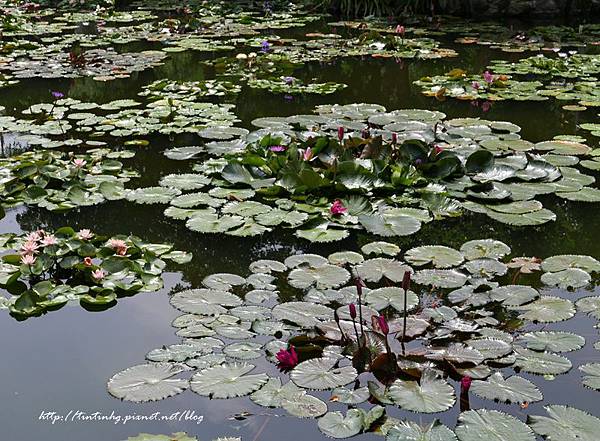 雙溪公園