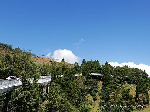 天空步道