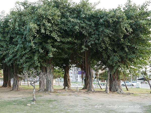 林默娘公園