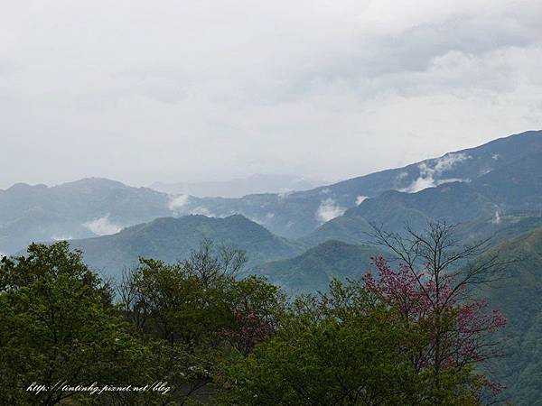 山上人家