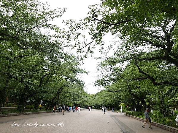 上野恩賜公園