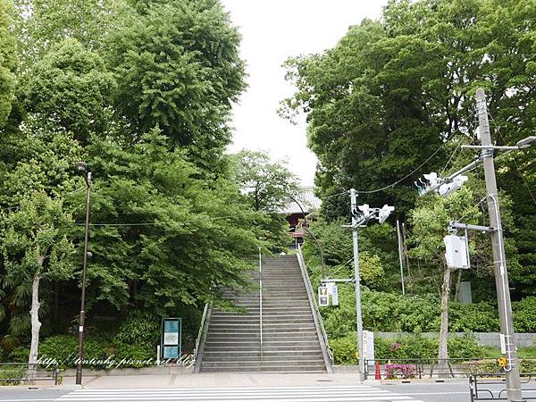 上野恩賜公園