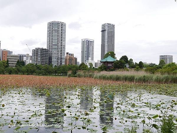 上野恩賜公園