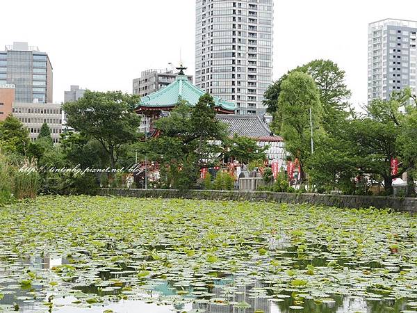 上野恩賜公園