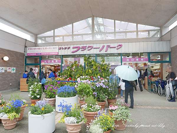 東京近郊栃木縣 黃花藤 玫瑰 足利花卉公園あしかがフラワーパークashikaga Flower Park 寫 記憶 拍 生活 走 旅行 痞客邦 東京近郊栃木縣 黃花藤 玫瑰 足利花卉公園あしかがフラワーパークashikaga Flower Park 寫 記憶 拍 生活 走 旅行 痞客邦