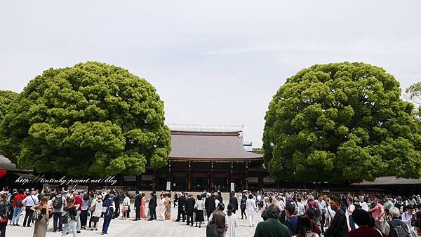 東京 70公頃自然林 明治神宮 寫 記憶 拍 生活 走 旅行 痞客邦 東京 70公頃自然林 明治神宮 寫 記憶 拍 生活 走 旅行 痞客邦