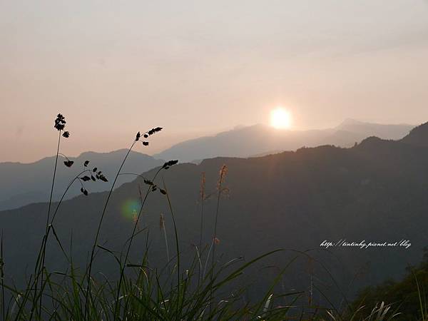 阿里山