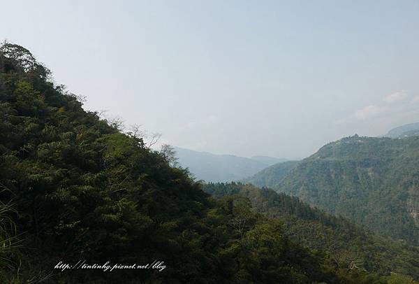 阿里山