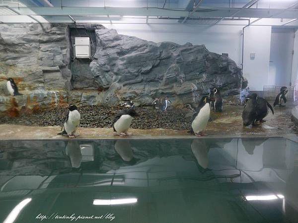 旭川動物園