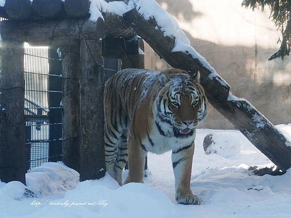 旭川動物園