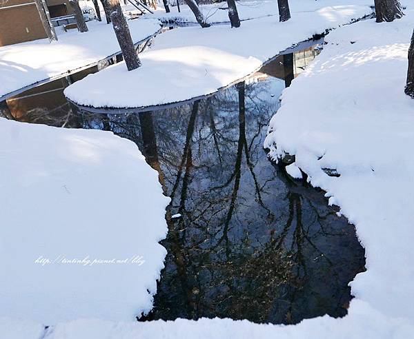 北海道大學