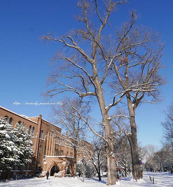 北海道大學