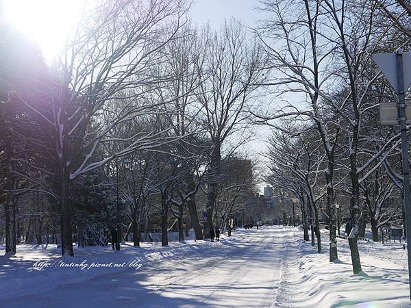 北海道大學