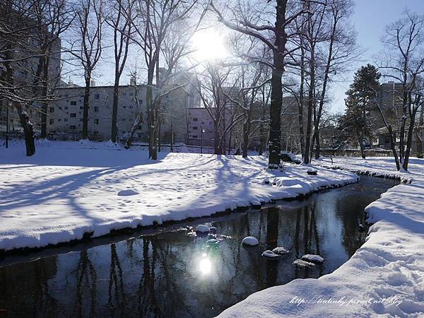 北海道大學