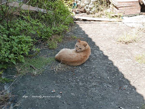 基隆看海