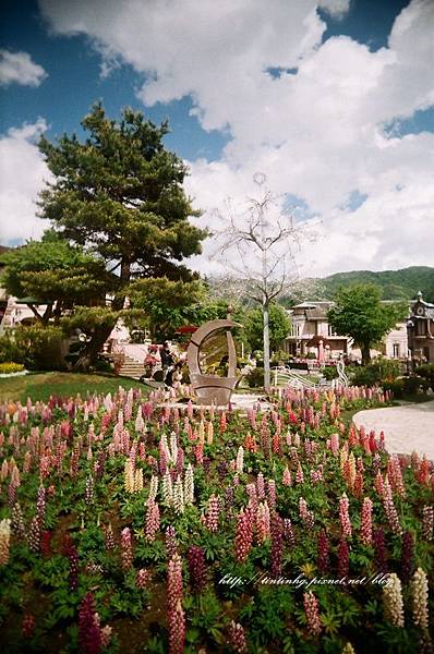 107年東京 107年東京