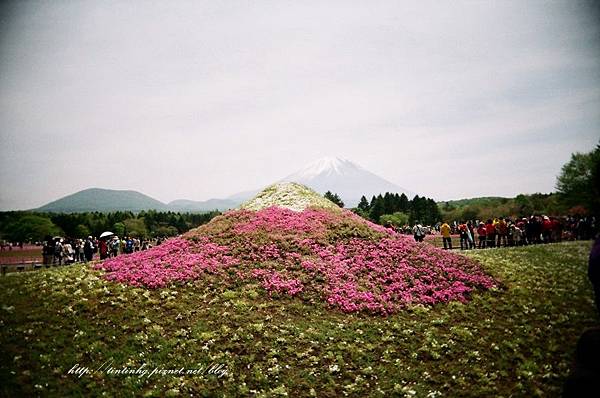 107年東京 107年東京