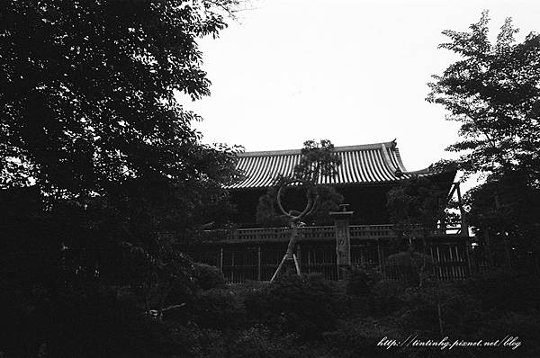 107年東京 107年東京