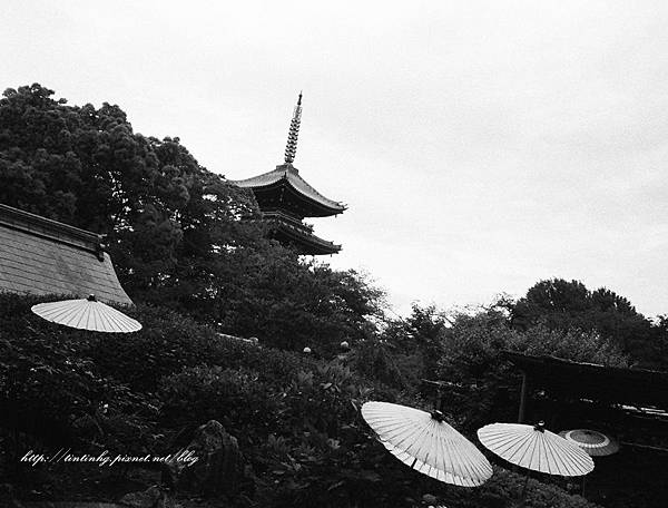 107年東京 107年東京