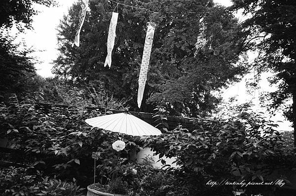 107年東京 107年東京