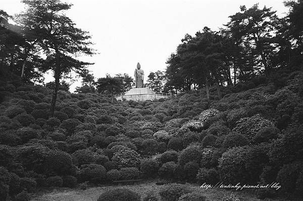 107年東京 107年東京