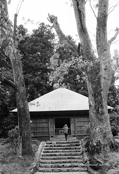 107年東京 107年東京