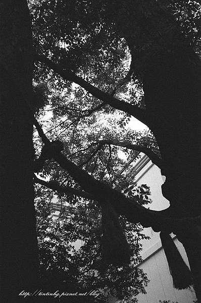 107年東京 107年東京