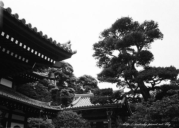 107年東京 107年東京