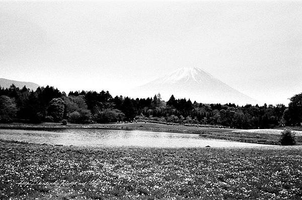 107年東京 107年東京