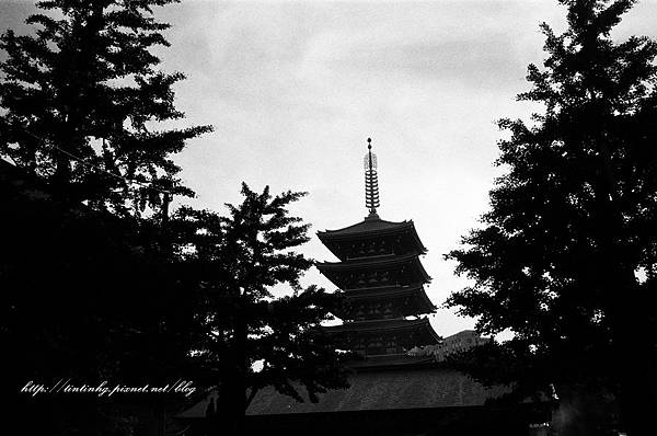 107年東京 107年東京