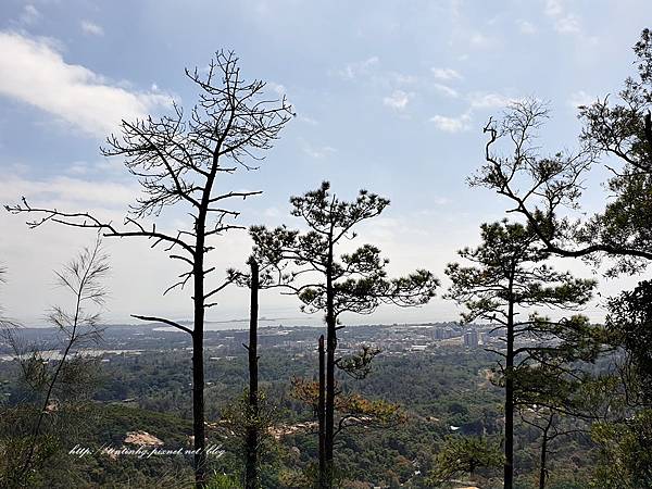 太武山